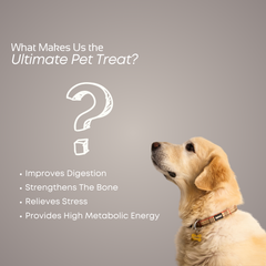 Smartstix - Chicken & Milk