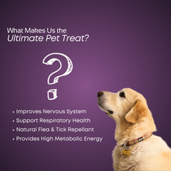 Smartstix - Chicken & Blueberry