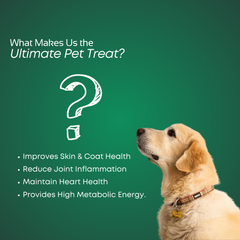 Smartstix - Chicken & Hemp