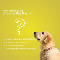 Smartstix - Chicken & Banana