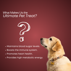 Smartstix - Chicken & Liver