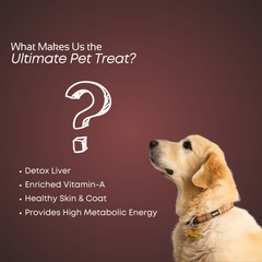 Smartstix - Chicken & Pomegranate