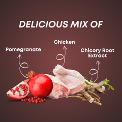 Smartstix - Chicken & Pomegranate