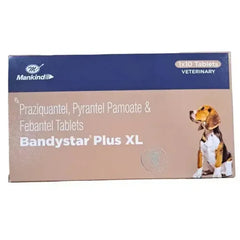 BANDYSTAR XL TAB 1*10