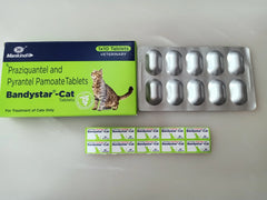 BANDYSTAR CAT TAB 10 TABS