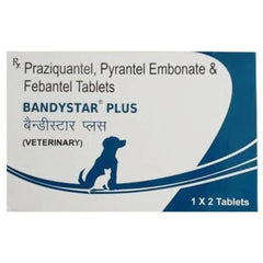 BANDYSTAR PLUS TAB 1*2TABS