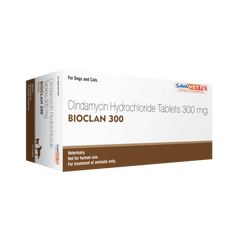 BIOCLAN 300 1*10 Tabs new