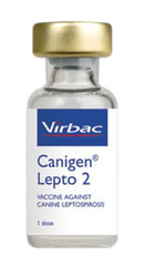 CANIGEN DHHPPI (VIRBAC) 1ML