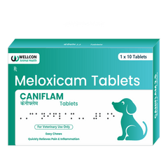 CANIFLAM 2.5 MG TAB 1*10