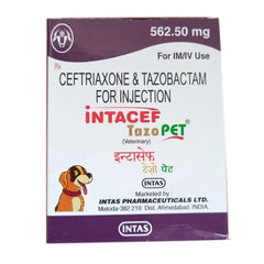 INTACEF TAZO PET 562.50