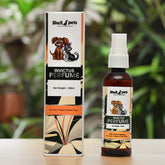 SP INVICTUS DEO 100ML