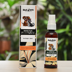 SP INVICTUS DEO 100ML