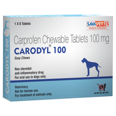 CARODYL 100 1X6TAB