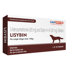 LISYBIN LARGE 1X10 TABS