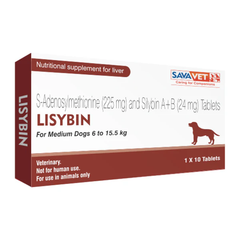 LISYBIN MEDIUM 1X10 TABS