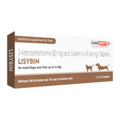 LISYBIN SMALL 1X10