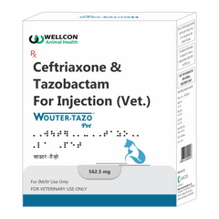 WOUTER TAZO LA 562.5 MG