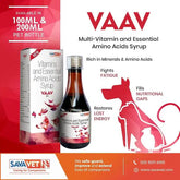 VAAV 100ML