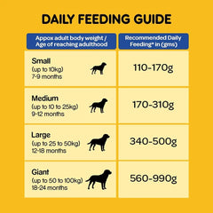 HEALTHY PET FOOD ADULT 1.2KG