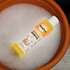 SP SHAMPOO 200ML - SHELL TICK