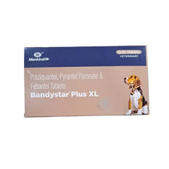 BANDYSTAR XL TAB 1*10