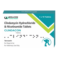 CLINDACON TAB