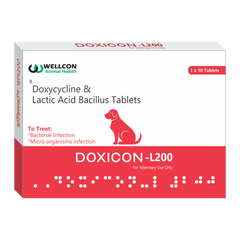DOXICON L 200MG TAB