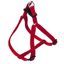 CROSS BELT 0.5 PUPPY