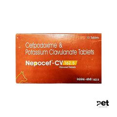 NEPOCEF CV 162.5 TAB
