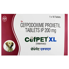 CEFPET XL 1X10 TAB (NEW)